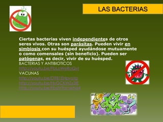 LAS BACTERIASCiertas bacterias viven independientes de otros seres vivos. Otras son parásitas. Pueden vivir en simbiosis con su huésped ayudándose mutuamente o como comensales (sin beneficio). Pueden ser patógenas, es decir, vivir de su huésped. BACTERIAS Y ANTIBIOTICOShttp://youtu.be/FbLoWeRoQvIVACUNAShttp://youtu.be/D9B1EHpvotghttp://youtu.be/HyGCKWZy3IEhttp://youtu.be/FbdV9omeN64