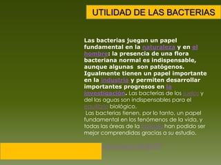 UTILIDAD DE LAS BACTERIASLas bacterias juegan un papel fundamental en la naturaleza y en el hombre: la presencia de una flora bacteriana normal es indispensable, aunque algunas  son patógenos. Igualmente tienen un papel importante en la industria y permiten desarrollar importantes progresos en la investigación. Las bacterias de los suelos y del las aguas son indispensables para el equilibrio biológico. Las bacterias tienen, por lo tanto, un papel fundamental en los fenómenos de la vida, y todas las áreas de la biología han podido ser mejor comprendidas gracias a su estudio.http://youtu.be/oy-aAcB-79Y