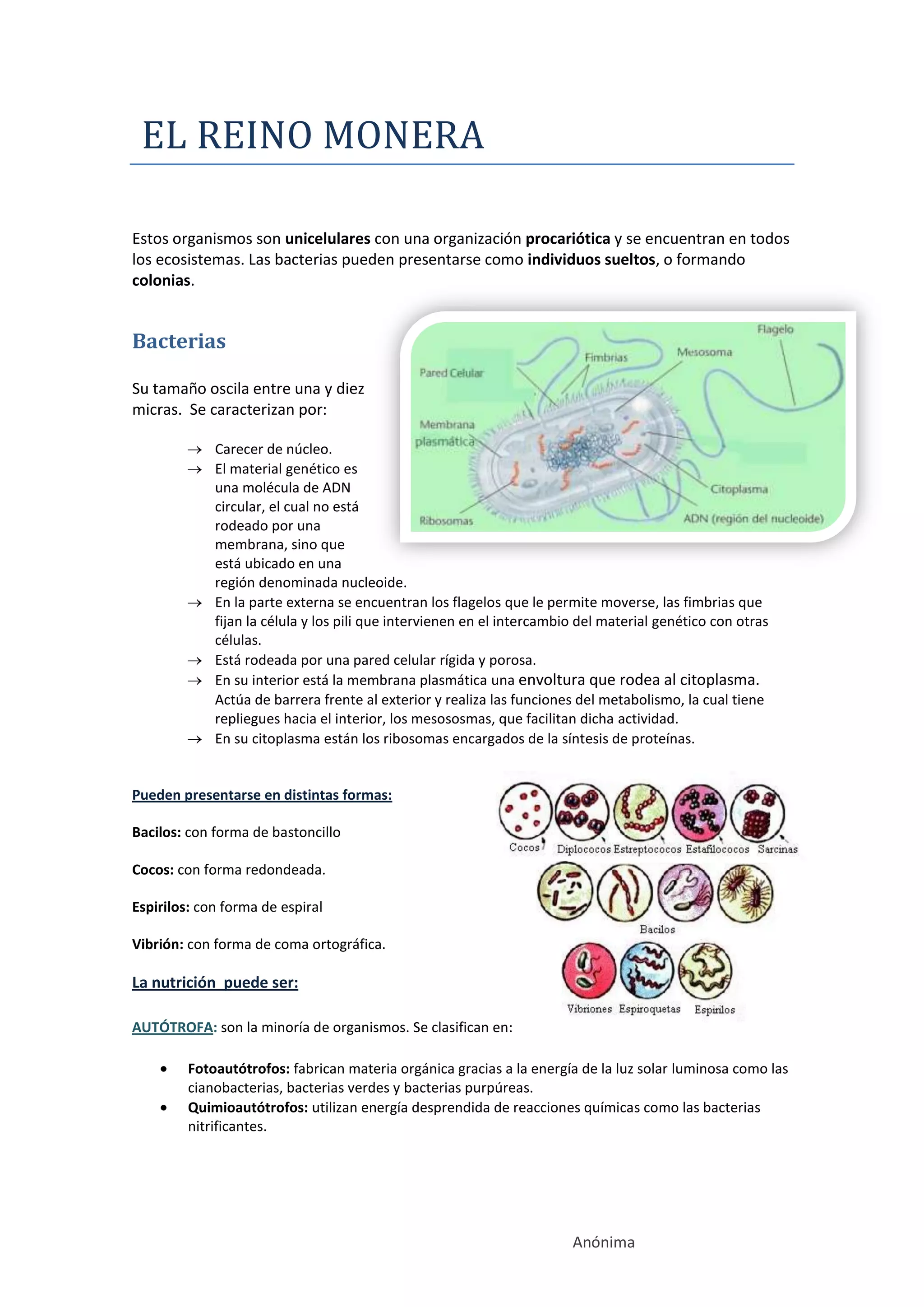 Reino monera. | DOCX