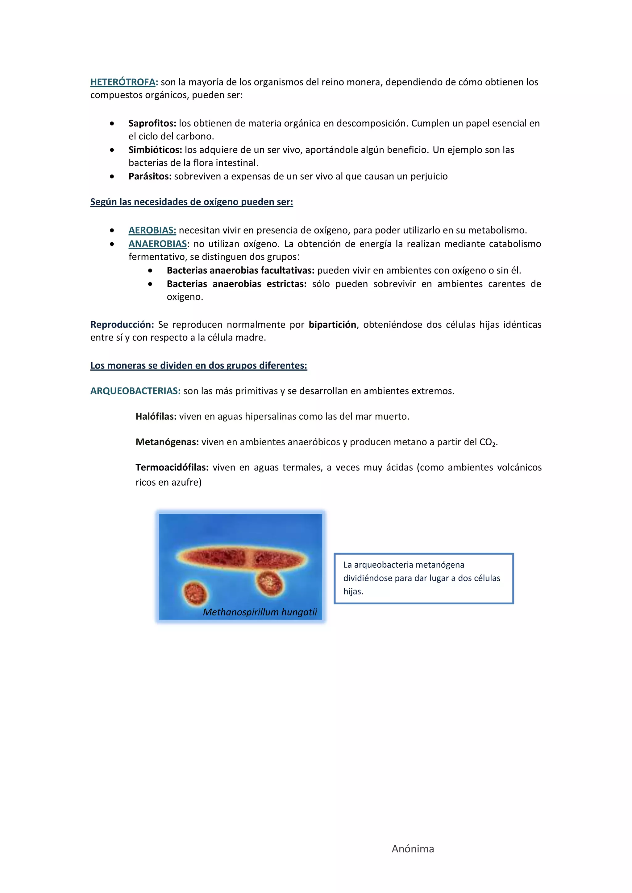 Reino monera. | DOCX