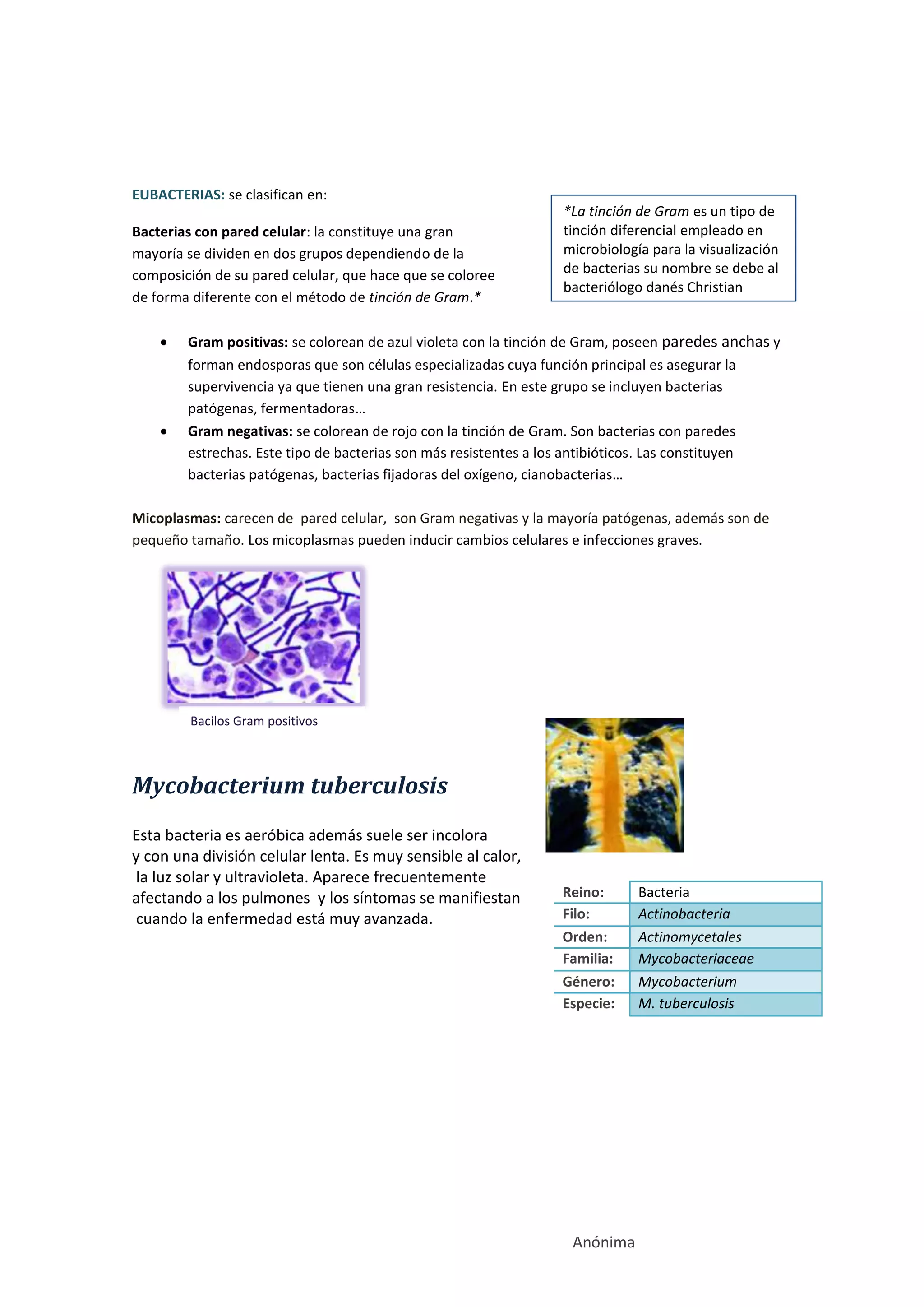 Reino monera. | DOCX