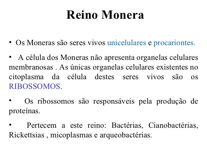 Reino Monera <ul><li>Os Moneras são seres vivos unicelulares e procariontes. </li></ul><ul><li>A célula dos Moneras nã...