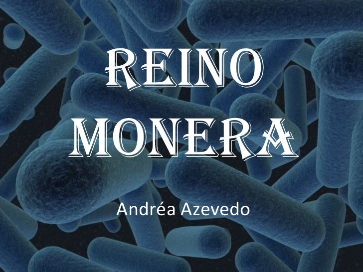 Reino Monera Aspectos Relacionados A Atividade Econômica