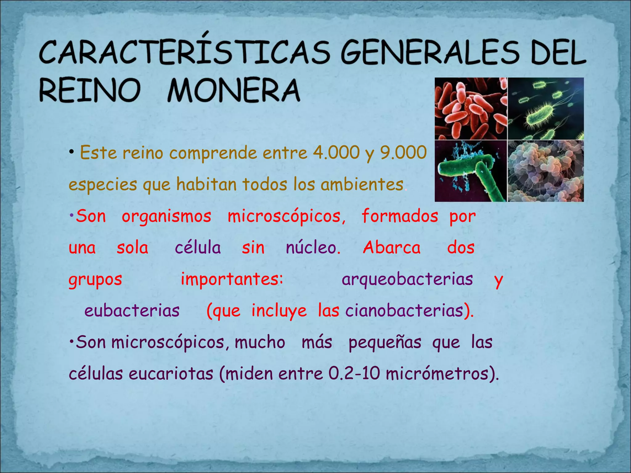 Reino monera | PPT