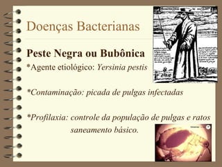 Doenças Bacterianas
Peste Negra ou Bubônica
*Agente etiológico: Yersinia pestis

*Contaminação: picada de pulgas infectadas

*Profilaxia: controle da população de pulgas e ratos
             saneamento básico.
 