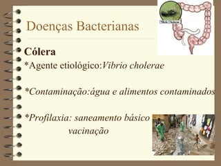 Doenças Bacterianas
Cólera
*Agente etiológico:Vibrio cholerae

*Contaminação:água e alimentos contaminados

*Profilaxia: saneamento básico
           vacinação
 