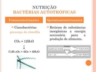 NUTRIÇÃO
  BACTÉRIAS AUTOTRÓFICAS
Fotossintetizantes      Quimiossintetizantes

  Cianobactérias          Retiram de substâncias
presença de clorofila       inorgânicas a energia
                            necessária    para    a
                            produção de alimento.
     CO2 + 12H2O
         ↓
C6H12O6 + 6O2 + 6H2O
 