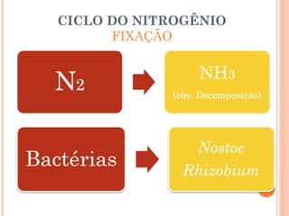 CICLO DO NITROGÊNIO
      FIXAÇÃO
 