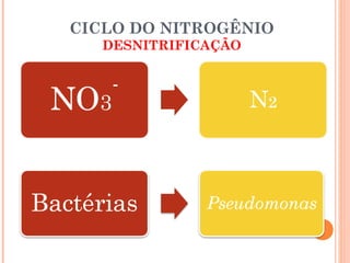 CICLO DO NITROGÊNIO
   DESNITRIFICAÇÃO
 