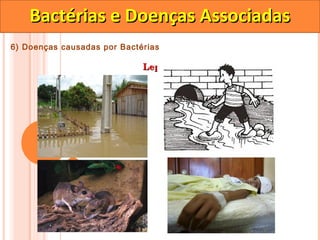Bactérias e Doenças Associadas
6) Doenças causadas por Bactérias

                             Leptospirose
 