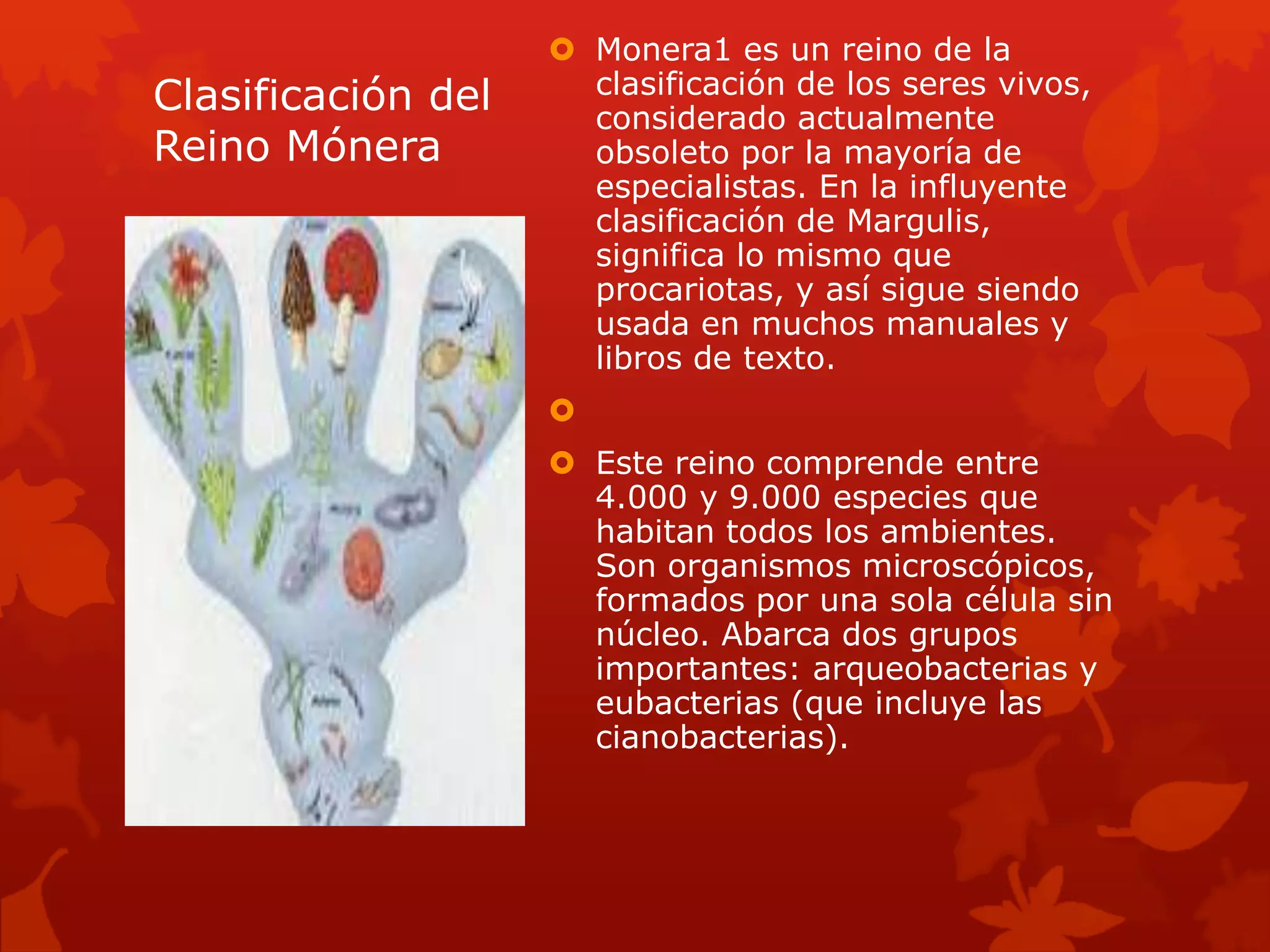 Reino Monera | PPTX
