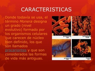 CARACTERISTICAS
Donde todavía se usa, el
término Monera designa
un grado (nivel
evolutivo) formado por
los organismos celulares
que carecen de núcleo
bien definido, los que
son llamados
procariontes y que son
considerados las formas
de vida más antiguas.
 