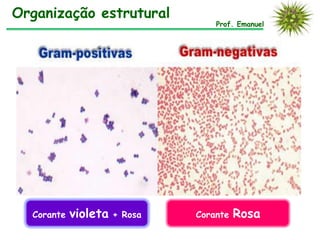 Organização estrutural
                                   Prof. Emanuel




  Corante   violeta   + Rosa   Corante   Rosa
 