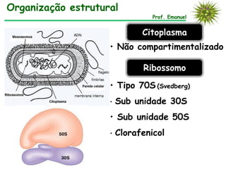 Organização estrutural
                                 Prof. Emanuel


                              Citoplasma
                    • Não compartimentalizado

                              Ribossomo

                    • Tipo 70S (Svedberg)
                    •   Sub unidade 30S
                    • Sub unidade 50S
                    •   Clorafenicol
 