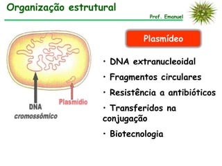 Organização estrutural
                              Prof. Emanuel



                             Plasmídeo

                   • DNA extranucleoidal
                   • Fragmentos circulares
                   • Resistência a antibióticos
                   • Transferidos na
                   conjugação
                   • Biotecnologia
 