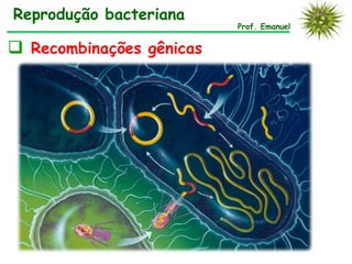 Reprodução bacteriana
                          Prof. Emanuel


 Recombinações gênicas
 