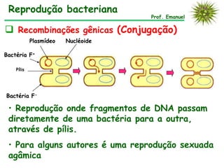 Reprodução bacteriana
                                    Prof. Emanuel

 Recombinações gênicas (Conjugação)
            Plasmídeo   Nucléoide

Bactéria F+

    Pílis




Bactéria F-

 • Reprodução onde fragmentos de DNA passam
 diretamente de uma bactéria para a outra,
 através de pílis.
 • Para alguns autores é uma reprodução sexuada
 agâmica
 