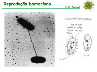 Reprodução bacteriana
                        Prof. Emanuel
 