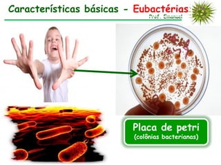 Características básicas - Eubactérias
                              Prof. Emanuel




                         Placa de petri
                         (colônias bacterianas)
 