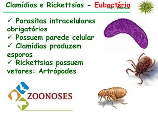 Clamídias e Rickettsias - Eubactéria
                             Prof. Emanuel



 Parasitas intracelulares
obrigatórios
 Possuem parede celular
 Clamídias produzem
esporos
 Rickettsias possuem
vetores: Artrópodes
 