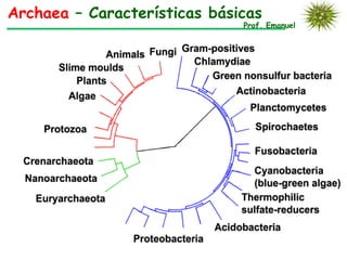 Archaea – Características básicas
                              Prof. Emanuel
 