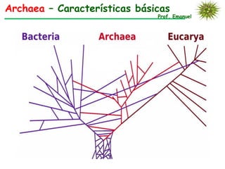 Archaea – Características básicas
                              Prof. Emanuel
 