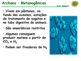 Archaea – Metanogênicas
                                Prof. Emanuel


• Vivem em pântanos, no
fundo dos oceanos, estações
de tratamento de esgotos e
no tubo digestivo de animais.
• São anaeróbicas restritas
• Algumas conseguem
produzir metano a partir de
CO2 e H2
• Podem ser fixadoras de N2
 