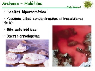 Archaea – Halófilas
                                  Prof. Emanuel

• Habitat hiperosmótico
• Possuem altas concentrações intracelulares
de K+
• São autotróficas
• Bacteriorrodopsina
 