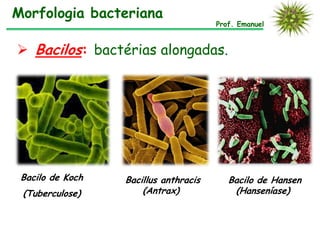 Morfologia bacteriana
                                       Prof. Emanuel


 Bacilos: bactérias alongadas.




 Bacilo de Koch   Bacillus anthracis      Bacilo de Hansen
 (Tuberculose)        (Antrax)             (Hanseníase)
 