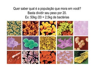 Quer saber qual é a população que mora em você?
Basta dividir seu peso por 20.
Ex: 50kg /20 = 2,5kg de bactérias
 
