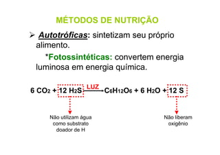 Autotróficas: sintetizam seu próprio
alimento.
*Fotossintéticas: convertem energia
luminosa em energia química.
MÉTODOS DE NUTRIÇÃO
6 CO2 + 12 H2S C6H12O6 + 6 H2O + 12 S
Não utilizam água
como substrato
doador de H
Não liberam
oxigênio
LUZ
 