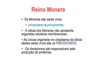Reino MoneraReino Monera
• Os Moneras são seres vivos
• unicelulares e procariontes.
• A célula dos Moneras não apresenta
organelas celulares membranosas .
• As únicas organelas no citoplasma da célula
destes seres vivos são os RIBOSSOMOS.
• Os ribossomos são responsáveis pela
produção de proteínas.
 