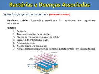 3) Morfologia geral das bactérias - (Membrana Celular)
Membrana celular: lipoprotéica semelhante às membranas dos organismos
eucariontes.
Funções:
1. Proteção
2. Transporte seletivo de nutrientes
3. Síntese de componentes da parede celular
4. Secreção de enzimas digestivas
5. Respiração celular
6. Ancora flagelos, fímbrias e pili
7. Armazenamento de pigmentos e enzimas da fotossíntese (em cianobactérias)
Bactérias e Doenças AssociadasBactérias e Doenças Associadas
 