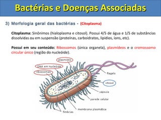 3) Morfologia geral das bactérias - (Citoplasma)
Citoplasma: Sinônimos (hialoplasma e citosol). Possui 4/5 de água e 1/5 de substâncias
dissolvidas ou em suspensão (proteínas, carboidratos, lipídios, íons, etc).
Possui em seu conteúdo: Ribossomos (única organela), plasmídeos e o cromossomo
circular único (região do nucleóide).
Bactérias e Doenças AssociadasBactérias e Doenças Associadas
 