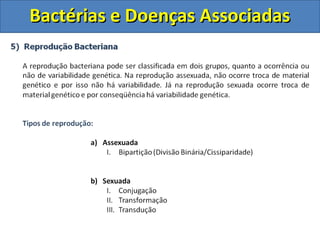 Bactérias e Doenças AssociadasBactérias e Doenças Associadas
 