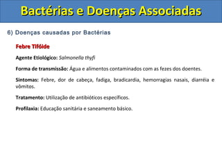 6) Doenças causadas por Bactérias
Febre TifóideFebre Tifóide
Agente Etiológico: Salmonella thyfi
Forma de transmissão: Água e alimentos contaminados com as fezes dos doentes.
Sintomas: Febre, dor de cabeça, fadiga, bradicardia, hemorragias nasais, diarréia e
vômitos.
Tratamento: Utilização de antibióticos específicos.
Profilaxia: Educação sanitária e saneamento básico.
Bactérias e Doenças AssociadasBactérias e Doenças Associadas
 