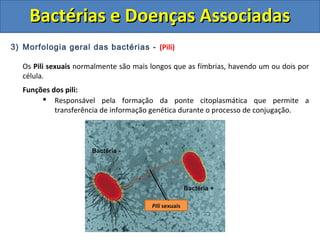 3) Morfologia geral das bactérias - (Pili)
Os Pili sexuais normalmente são mais longos que as fímbrias, havendo um ou dois por
célula.
Funções dos pili:
 Responsável pela formação da ponte citoplasmática que permite a
transferência de informação genética durante o processo de conjugação.
Bactérias e Doenças AssociadasBactérias e Doenças Associadas
Bactéria +
Bactéria -
Pili sexuais
 