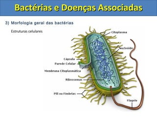 3) Morfologia geral das bactérias
Estruturas celulares
Bactérias e Doenças AssociadasBactérias e Doenças Associadas
 