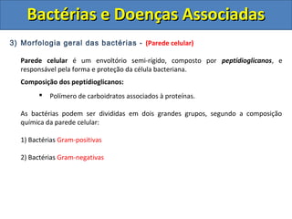 3) Morfologia geral das bactérias - (Parede celular)
Parede celular é um envoltório semi-rígido, composto por peptídioglicanos, e
responsável pela forma e proteção da célula bacteriana.
Composição dos peptídioglicanos:
 Polímero de carboidratos associados à proteínas.
As bactérias podem ser divididas em dois grandes grupos, segundo a composição
química da parede celular:
1) Bactérias Gram-positivas
2) Bactérias Gram-negativas
Bactérias e Doenças AssociadasBactérias e Doenças Associadas
 