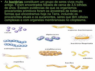 • As bactérias constituem um grupo de seres vivos muito
antigo. Foram encontrados fósseis de cerca de 3,5 bilhões
de anos. Existem evidências de que os organismos
procariontes primitivos foram os ancestrais de todas as
formas que encontramos hoje na Terra, incluindo os
procariontes atuais e os eucariontes, seres que têm células
complexas e com organelas membranosas no citoplasma.
 