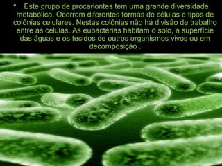 • Este grupo de procariontes tem uma grande diversidade
metabólica. Ocorrem diferentes formas de células e tipos de
colônias celulares. Nestas colônias não há divisão de trabalho
entre as células. As eubactérias habitam o solo, a superfície
das águas e os tecidos de outros organismos vivos ou em
decomposição .
 