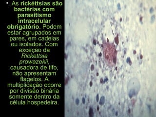•. As rickéttsias são
bactérias com
parasitismo
intracelular
obrigatório. Podem
estar agrupados em
pares, em cadeias
ou isolados. Com
exceção da
Rickettsia
prowazekii,
causadora de tifo,
não apresentam
flagelos. A
multiplicação ocorre
por divisão binária
somente dentro da
célula hospedeira.
 