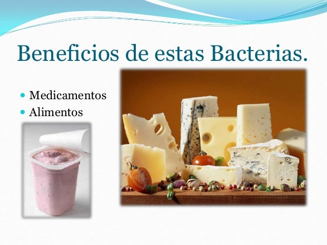 Resultado de imagen para beneficios de las bacteria