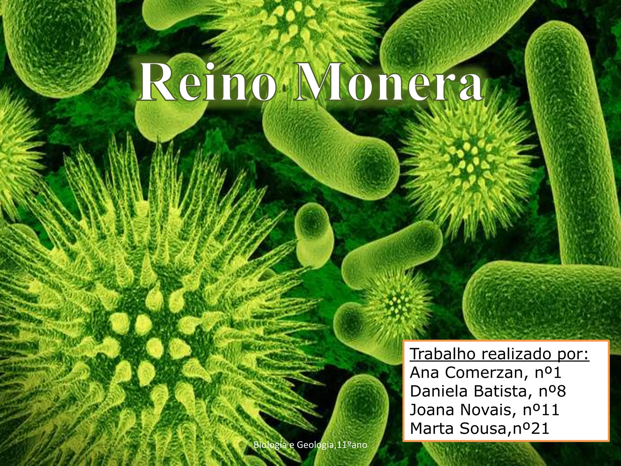 Reino Monera | PPTX