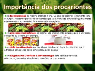 na decomposição de matéria orgânica morta. Ou seja, as bactérias juntamente com
os fungos, realizam o processo de decomposição transformando a matéria orgânica morta
e devolvendo-a ao solo sob a forma de matéria inorgânica.

em processos industriais, as baterias são amplamente utilizadas para a fabricação
de iogurte ou vinagre, por exemplo.

no ciclo do nitrogênio, em que atuam em diversas fases, fazendo com que o
nitrogênio atmosférico possa ser utilizado pelas plantas;
em Engenharia Genética e Biotecnologia para a síntese de várias
substâncias, entre elas a insulina e o hormônio de crescimento.

 