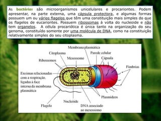 As bactérias são microorganismos unicelulares e procariontes. Podem
apresentar, na parte externa, uma cápsula protectora, e algumas formas
possuem um ou vários flagelos que têm uma constituição mais simples do que
os flagelos de eucariontes. Possuem ribossomas à volta do nucleoide e não
tem organelos. A célula procariótica é única tanto na organização do seu
genoma, constituído somente por uma molécula de DNA, como na constituição
relativamente simples do seu citoplasma.

 