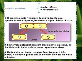ao nível do metabolismo

autotróficas;
heterotrófias;

O processo mais frequente de multiplicação que
apresentam é a reprodução assexuada por divisão binária;

Em termos potencial para um crescimento explosivo, as
bactérias são imbatíveis entre os organismos vivos.
Muitas têm um tempo de geração entre uma e três
horas, havendo algumas que se dividem de vinte em vinte
minutos.

 
