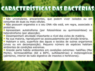 São unicelulares, procariontes, que podem viver isolados ou em
conjuntos de duas ou mais células.
Não possuem organelos e o seu DNA não está, em regra, associado a
proteínas.
Apresentam autotrofismo (por fotossíntese ou quimiossíntese) ou
heterotrofismo (por absorção).
Desempenham atividade importante a nível dos ciclos de matéria.
Na sua maioria, reproduzem-se assexuadamente por divisão binária.
Habitam o solo, superfície das águas e tecidos de outros organismos
(vivos ou em decomposição). Pequeno número de espécies habitam
ambientes de condições extremas.
Grande parte habita ambientes em condições extremas: halófilas (Mar
Morto), termoacidófilas (60 a 80ºC, sulfobactérias) e metanogénicas
(pântanos, interior do tubo digestivo de insectos e herbívoros).

 
