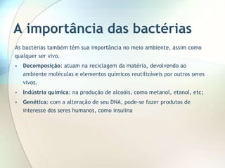 A importância das bactérias
As bactérias também têm sua importância no meio ambiente, assim como
qualquer ser vivo.
• Decomposição: atuam na reciclagem da matéria, devolvendo ao
ambiente moléculas e elementos químicos reutilizáveis por outros seres
vivos.
• Indústria química: na produção de alcoóis, como metanol, etanol, etc;
• Genética: com a alteração de seu DNA, pode-se fazer produtos de
interesse dos seres humanos, como insulina
 