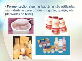 - Fermentação: algumas bactérias são utilizadas
nas indústrias para produzir iogurte, queijo, etc
(derivados do leite)
 